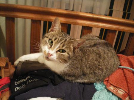 mon b�b� d'amour....